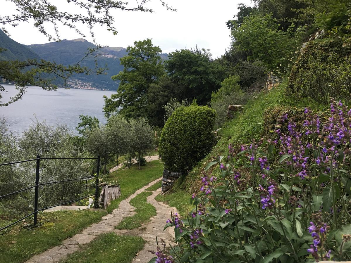 Castagna Holiday Home Nesso Exteriör bild